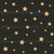 Shinig stars on soft black fabric Image