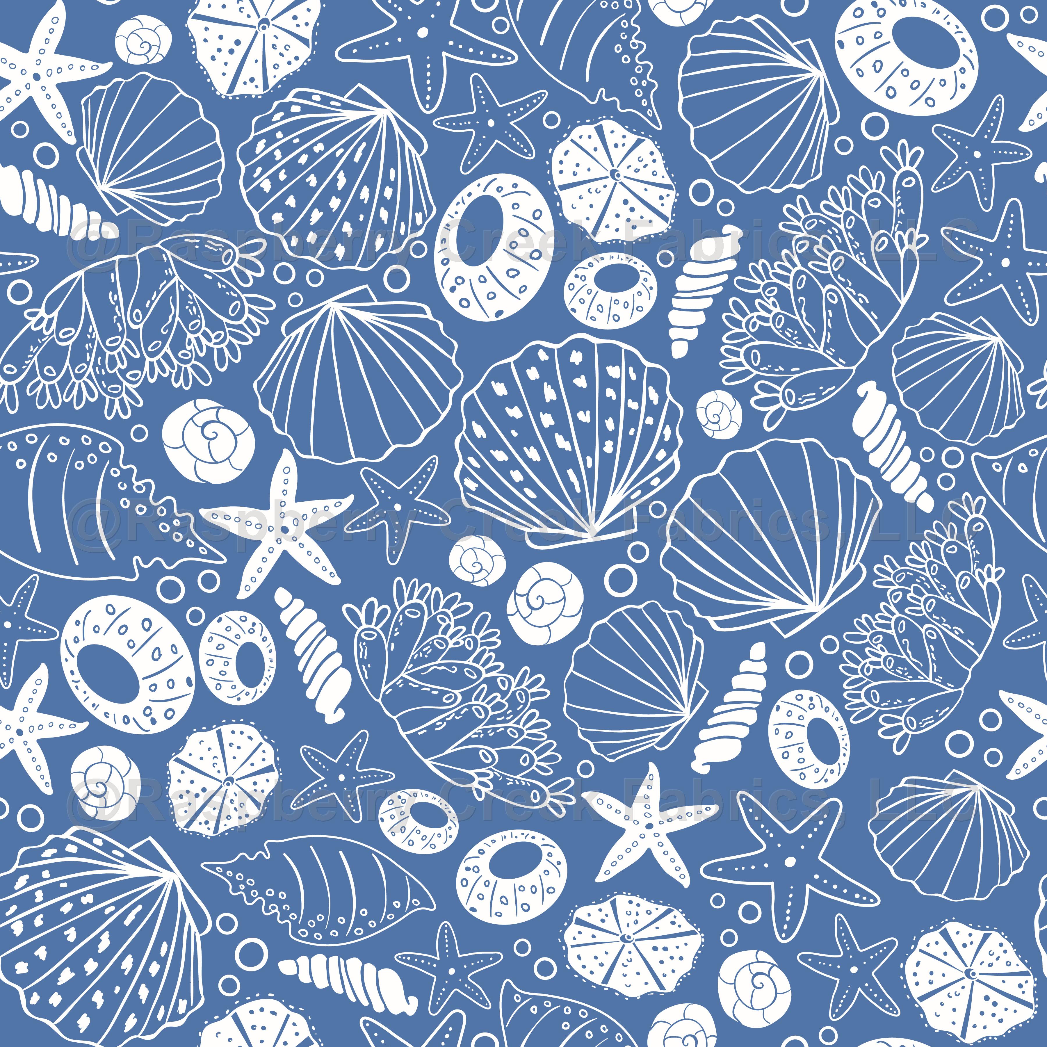 HD sea shells wallpapers | Peakpx