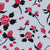 Viva Magenta roses with black leaves and thorns, on blue background. Image