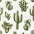 Boho Desert Catus Watercolor Succulents Image