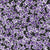 Large purple lilac blossoms all over tossed floral spring black. Welcome spring to your home. When you see these lilac blossoms and flowers imagine the intoxicating scent evoking feelings of nostalgia and serenity. Image
