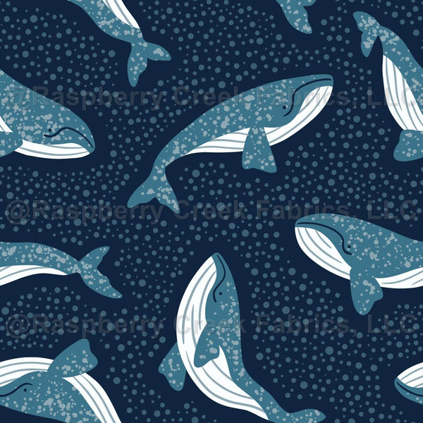 Blue Raspberry Whales Happy whales swimming - navy blue background - Raspberry Creek Fabrics