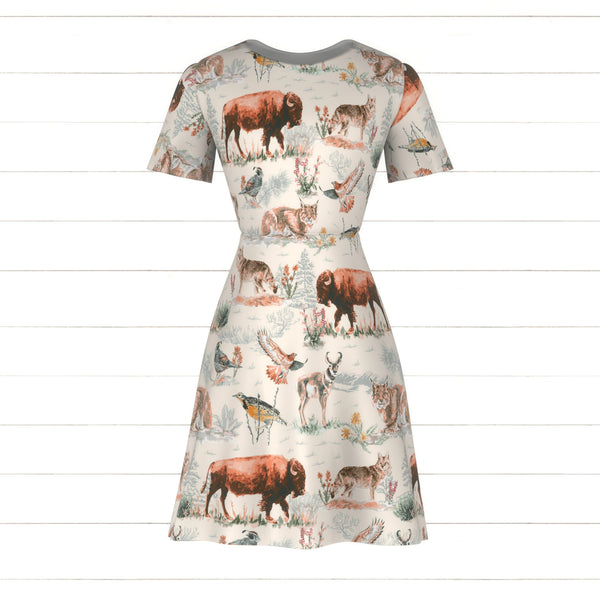 High Desert Animals: Bison, Pronghorn Antelope, Bobcat, Red Tailed Haw ...
