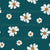 Teal Daisies Image