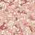 Groovy Mushroom by Mirabelleprint / Dusty Rose Background Image