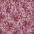 Coral Bells Foliage Claret Image