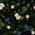 Pressed flowers white and navy with greenery | Black Image