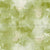 Winter Thyme Fluff Green Blender Image