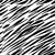 Seamless repeating pattern of zebra skin Image