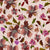 Blush Meadow Hand Painted Watercolor Flowers on Blush Pink, Rockabye Meadow Collection by The Enchanted Easel Image