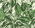Shady Hosta Leaves - retro green - smaller scale - Hosta Leaves Image