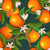Clementine trees on dark green , fruit elegant orange Image