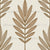 Pinnate Frond Rowan Ash Tree Long Leaves Line Art - Tan Beige Tonal Image