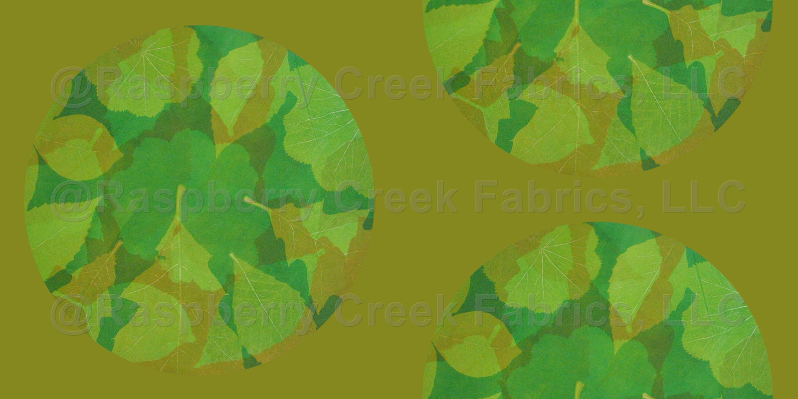 Leaf Circle Monoprint—Olive Green Background