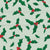 Jolly Holly in Shades of Green with Red Berries on a Soft Mint Green Background in the Winter Christmas Collection Image