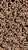 Jaguar Jungle Spots Light Tan Image