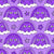 Purple Grumpy Cats in Rainbow Clouds Image