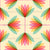 Ombre Rainbow and Soft Cream Lotus Florals Colorful Abstract Daisies Image