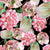 Flower Collection:  Pink tropical elegant flowers with exotic two-tone green leaves all on a black background. Image