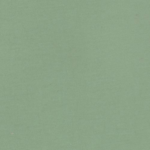 Solid Deep Sage Green 4 Way Stretch 10 oz Cotton Lycra Jersey Knit