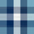 Teal, Navy Blue, and White Gingham Check Image