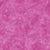 Berry Pink Maidenhair Sunprint Texture / Sunprints Collection Image
