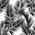 Palm leaves by MirabellePrint / Black and white Image