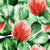 Flower Collection:  Red clover jungle watercolor wallpaper with shiny green leaves on a white background. Image