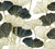 Leaves Collection:  Hand-drawn ginkgo leaves in black and off-white with gold outlines and stems on a white background. Image