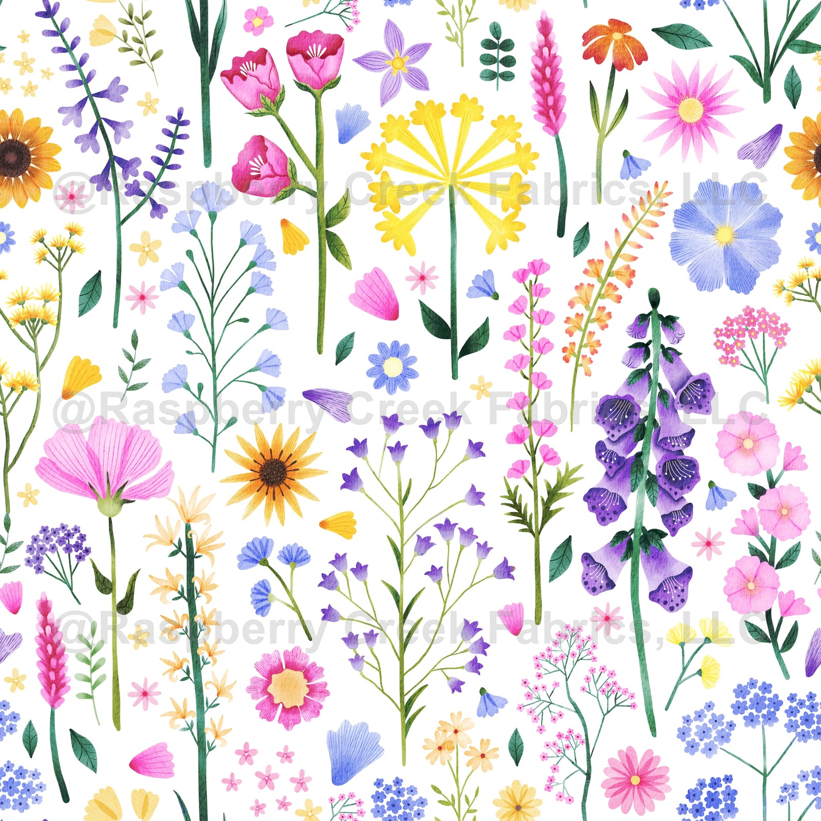 Wildflowers on White
