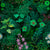 Bountiful green jungle with beautiful flowers and plants wallpaper Image