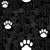 Black and white animal paw Image