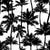 Palm tree silhouettes / Black and white Image