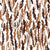Barkley - Earthtones Textured Brush Strokes on White Image