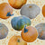 Pumpkins Dots Cream Image