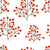 Red winter berries on white background Image