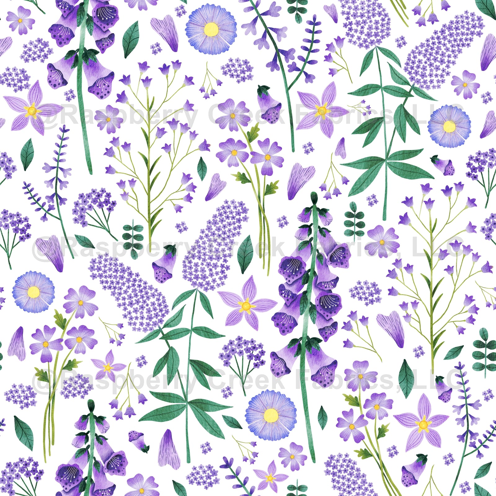 Purple Wildflowers