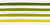 Stripes Citrus Green horizontal, Blooming Carrots Collection Image