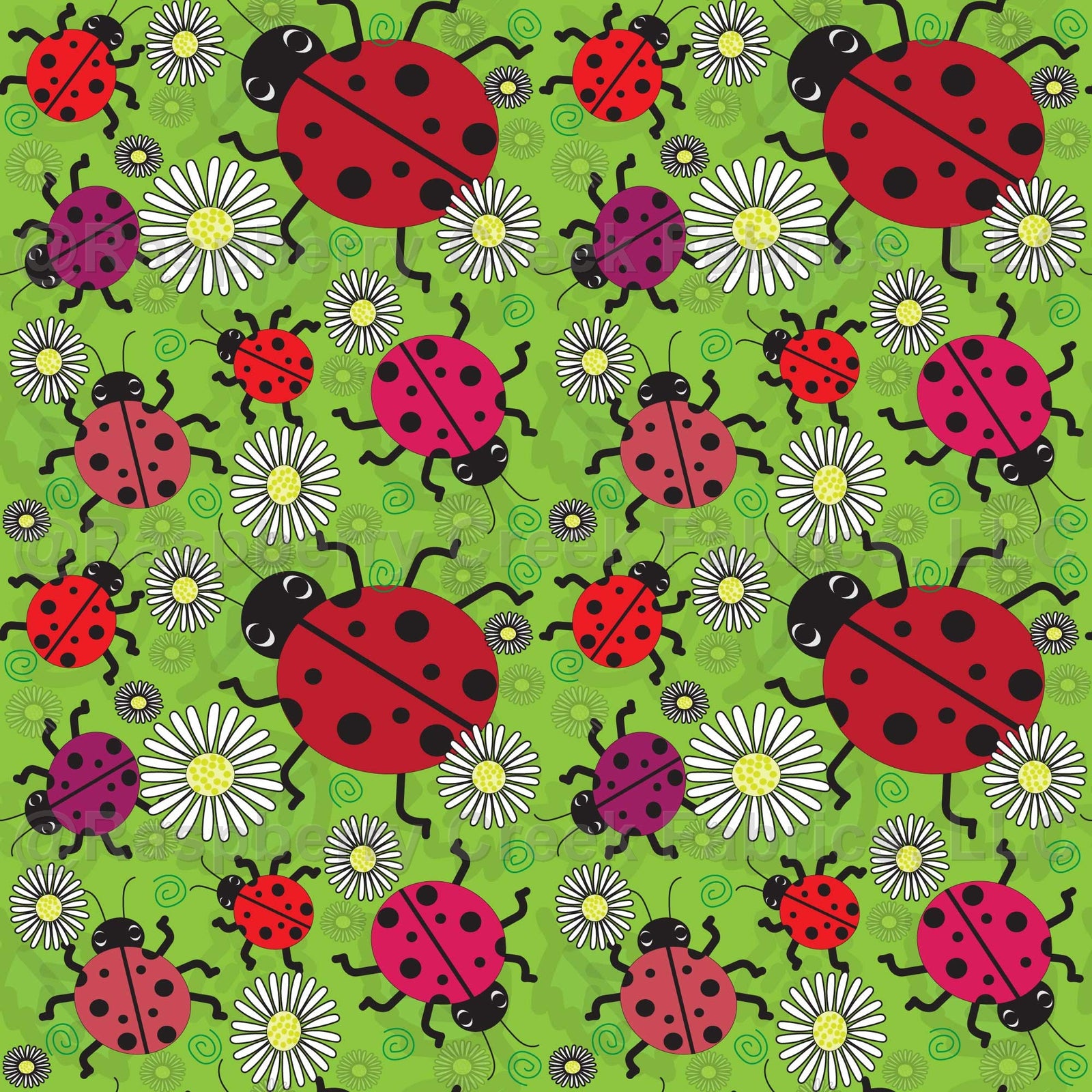 Spring Bugs