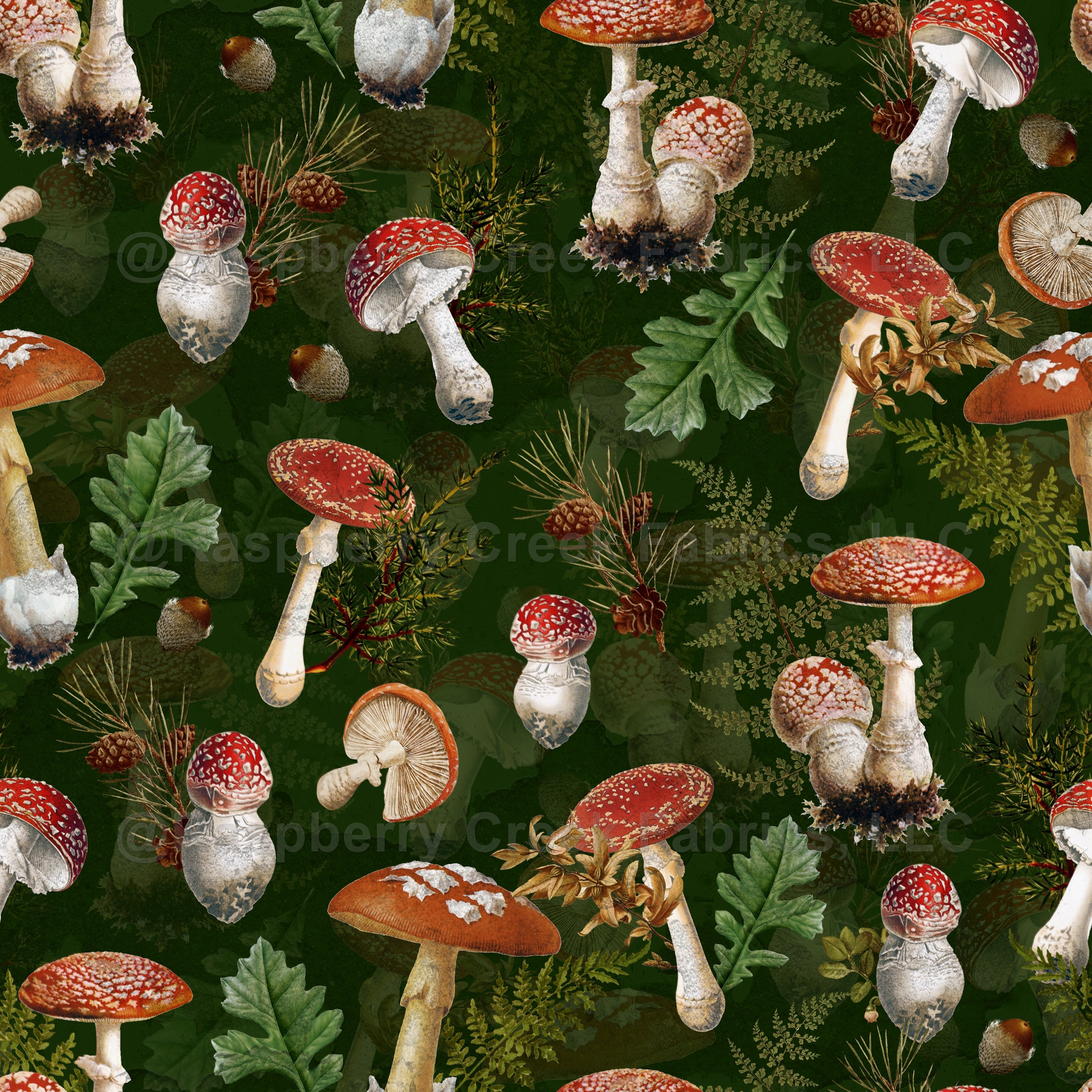 Premium Vector  Watercolor mushrooms vintage cottagecore mushrooms  aesthetic cottagecore