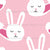 Pajama Party Bunny Slippers On Pink Image