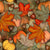 Fall Feels Collection (Option 1) Image