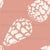 Diagonal Peach Beige Pink Hebrew Cone Shells Image