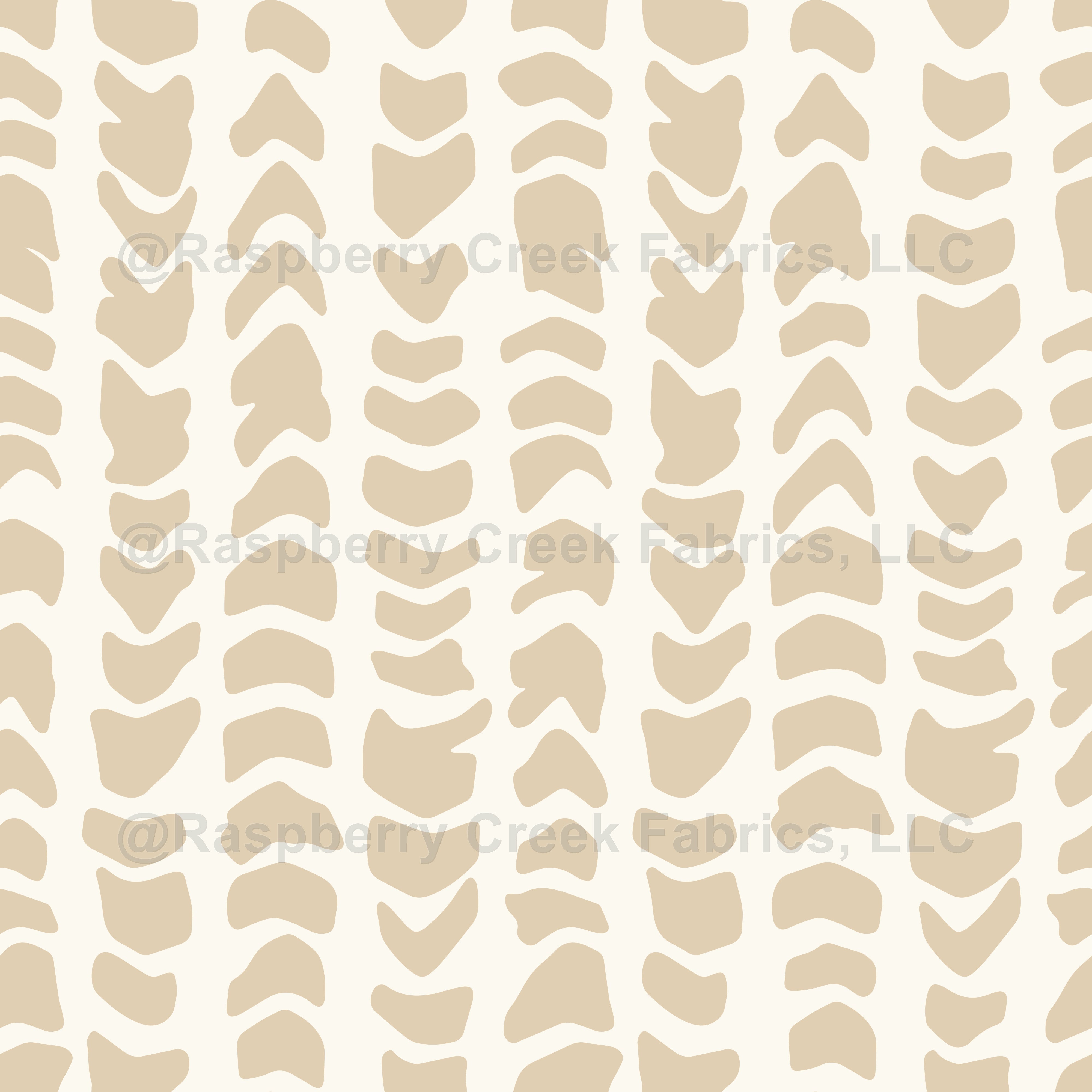 Cone Shell Background Hebrew Cone Shell Background