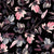 Beatrice Black-Gray & Magenta Watercolor Floral on Black Image