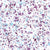 Blue Summer Watercolor Splatter in blue and purple Image