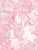 daydreamer modern toile de jouy berry pink on white Image