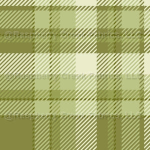 Green Woven Plaid Check Tartan