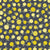 Lemons on Blue Background Image