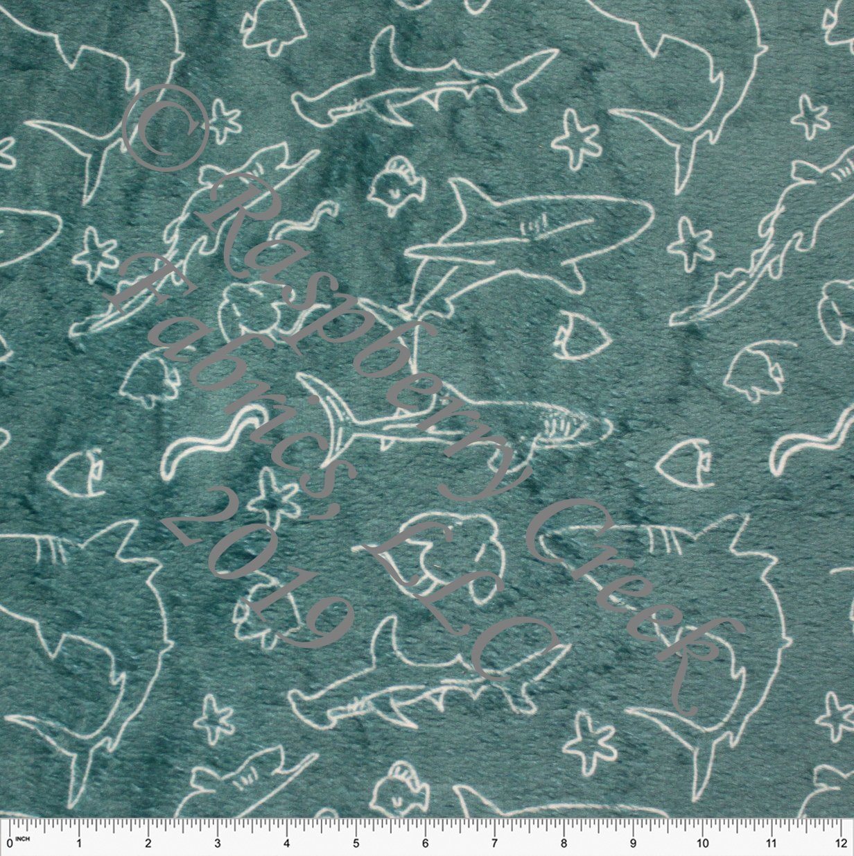 Sea Green and White Line Drawn Shark Minky Cuddle Fabric, By Brittney Laidlaw for CLUB Fabrics Fabric, Raspberry Creek Fabrics